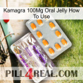 Kamagra 100Mg Oral Jelly How To Use new12
